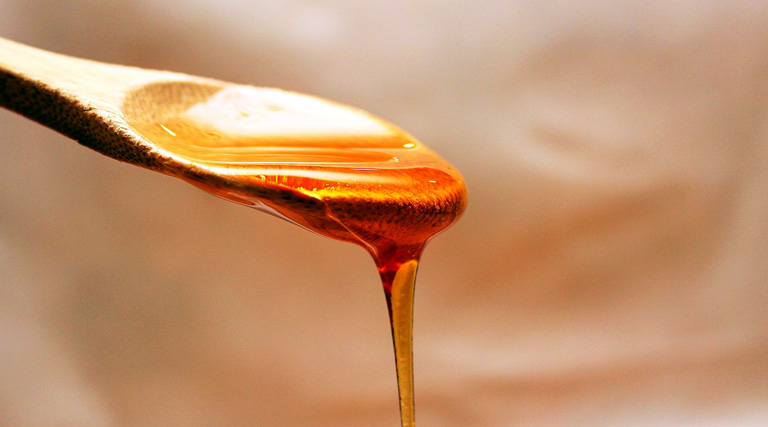 La deliciosa miel invade la Gastronomía